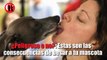 ¿Peligroso o no?: Estas son las consecuencias de besar a tu mascota
