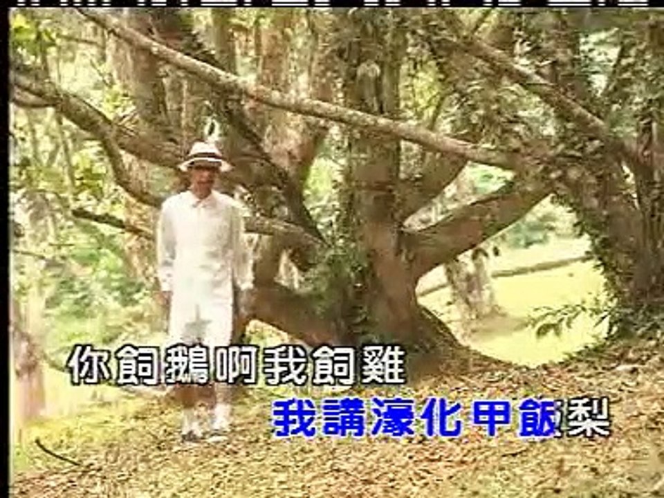 王雷-田庄姑娘