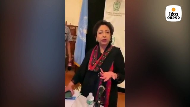 આંતરરાષ્ટ્રીય સ્ટેજ પર મલીહા લોધીનું અપમાન, કહ્યું- તમે ચોર છો, પાકના પ્રતિનિધિત્વનો કોઈ હક નહીં