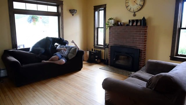 Avoir un gros chien : comment ne jamais être tranquille !