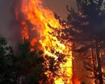 Kütahya'daki orman yangınını söndürme çalışmaları sürüyor