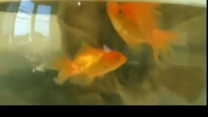 의왕출장안마 -후불1ØØ%ョO7OW5222W6739｛카톡LA666｝ 의왕전지역출장마사지 의왕오피걸 의왕출장안마 의왕출장마사지 의왕출장안마  의왕출장콜걸샵안마 의왕출장아로마㌻⾭よ 의왕출장샵