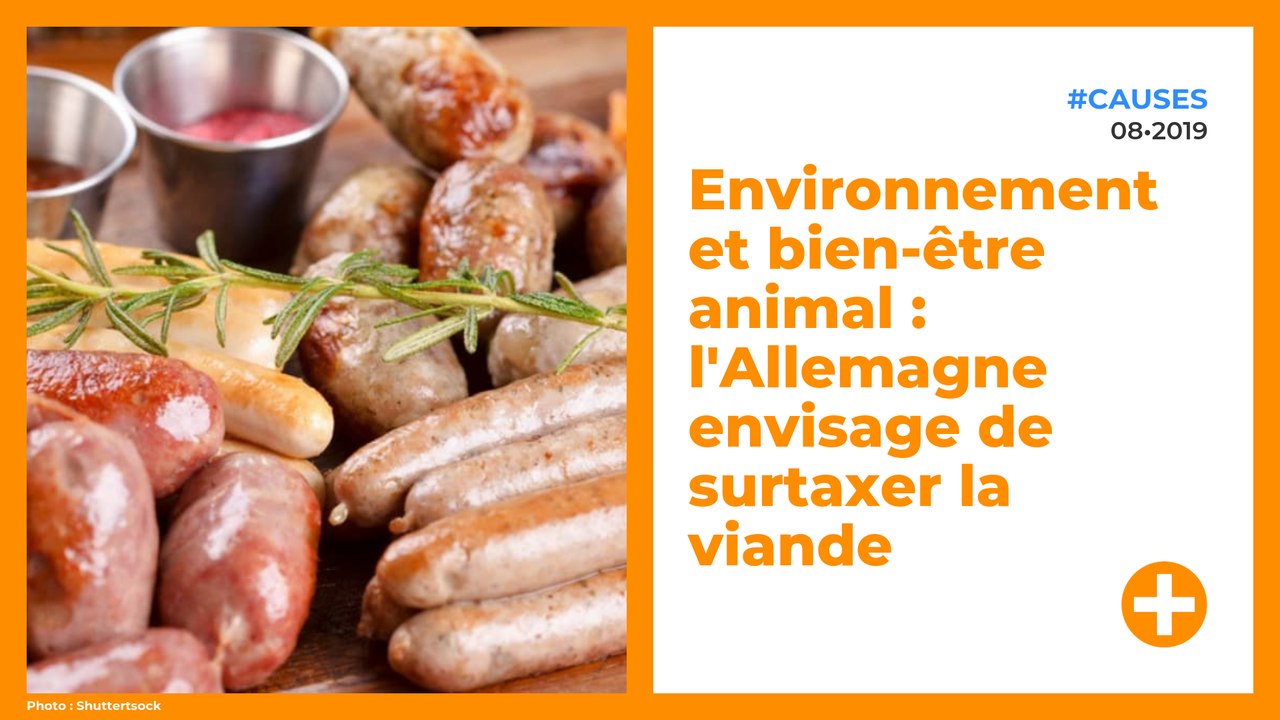Environnement et bien-être animal : l'Allemagne envisage de surtaxer la viande