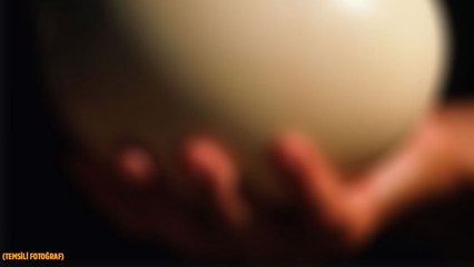 Çankırı'da bulundu!..  8,5 milyon yıllık!