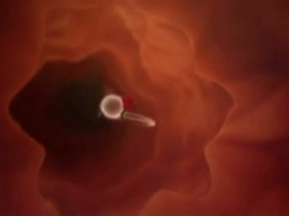 Centea - Sperm commercial