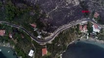 Marmara Adası’nda orman yangını: 80 hektar kül oldu, 1 gözaltı
