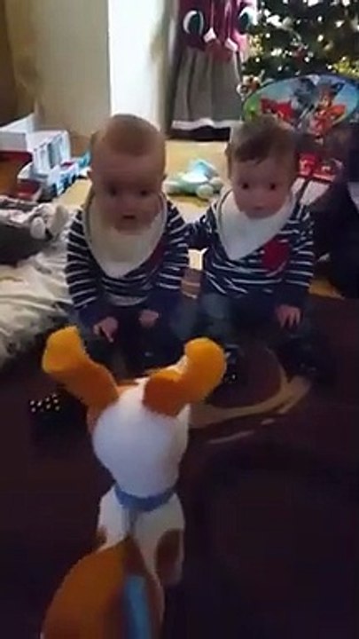 Nouveau jouet ? Ces 2 bébés sont effrayés par ce chien en laisse !