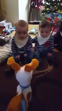 Nouveau jouet ? Ces 2 bébés sont effrayés par ce chien en laisse !