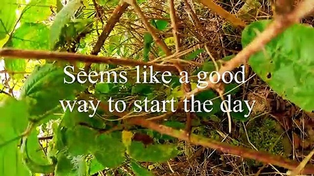 Il casse son Drone sur une tour de Centrale Nucléaire !