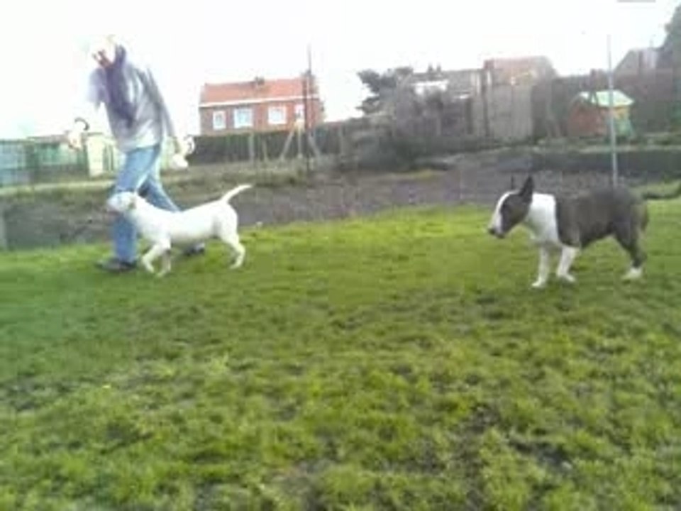 Mani et Loona