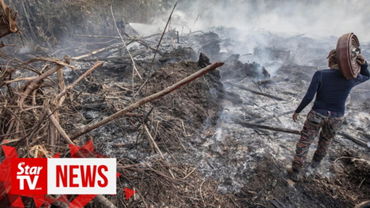 Sarawak firefighters battling peat and forest f...