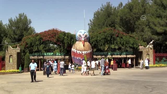 Gaziantep Hayvanat Bahçesi'nde bayram yoğunluğu
