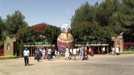 Gaziantep Hayvanat Bahçesi'nde bayram yoğunluğu