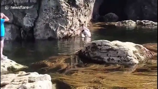 Cet ado sauve un mouton perdu dans la mer au bord d'une falaise !