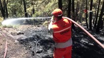 Kontrol altına alınan orman yangını sonrası soğutma çalışmaları sürüyor