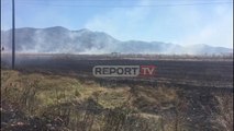Report TV - Korçë, banorët i vënë zjarrin barit për pastrimin e tokës, rrezikojnë banesat