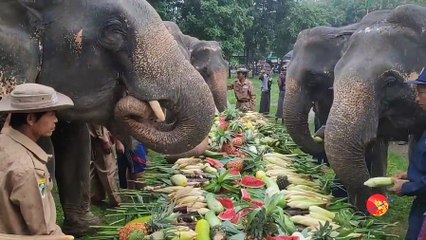 ဆင္ဆိုတာ ရတနာ တပါးပဲ (ရုပ္/သံ)