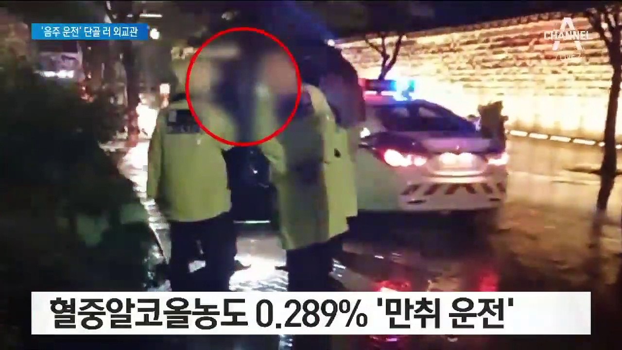 ‘만취’ 러시아 외교관, 덕수궁 돌담길 ‘쾅’…처벌 어려운 ‘면책특권’