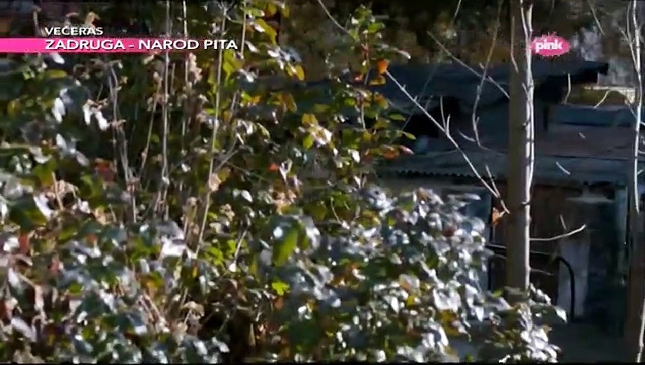 Sifra Despot 67 epizoda