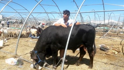 Bayramın 3'üncü gününde de pazarlıklar sıkı sıkıya sürüyor