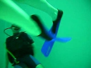 20080127nemoduik 096