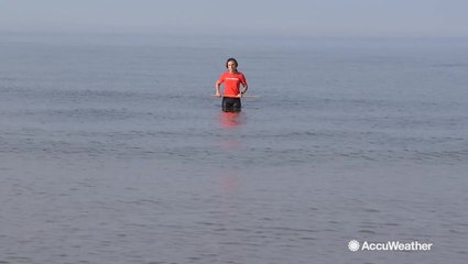 Meteorologist Laura Velasquez takes to Lake Michigan to showcase the rise in water levels