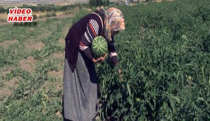 (13 Ağustos 2019) KAÇEMLİ KADINLAR  DAHA ÇOK TANINMAK İSTİYOR !