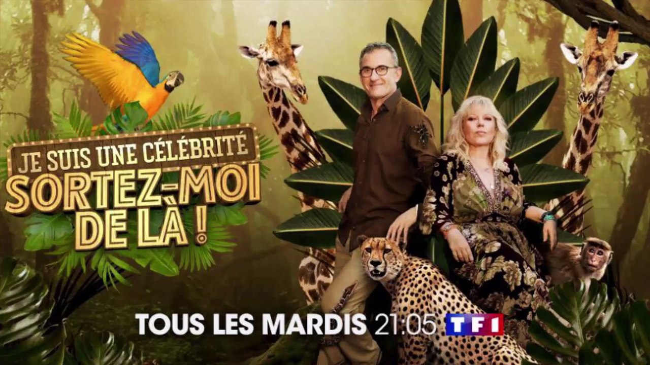 Je suis une célébrité, sortez-moi de là : Brahim Asloum explique la raison de son abandon