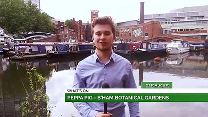 Peppa Pig, Small Island & Tech N9ne!