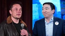 Elon Musk Is Supporting Andrew Yang for President