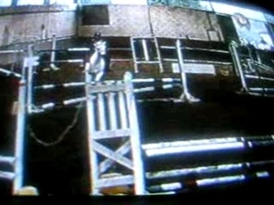 Laurie et Isis concours noel 2007