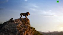 El rey león ya es la película más taquillera del año en España