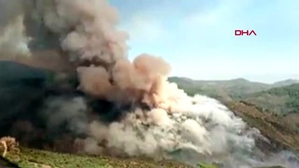 Bayındır'da bahçelerin bulunduğu bölgede yangın