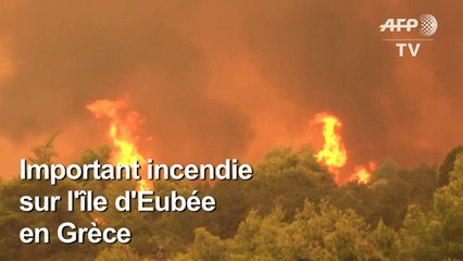 Grèce : important incendie sur l'île d'Eubée, 500 habitants évacués