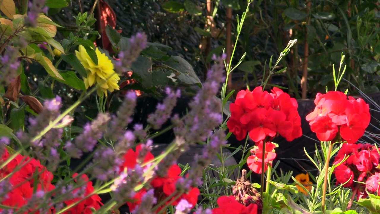 WEATHER: August 14th 2019
