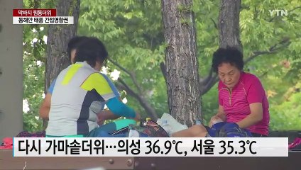 [날씨] 서울, 다시 폭염경보...태풍, 광복절에 日 강타 / YTN