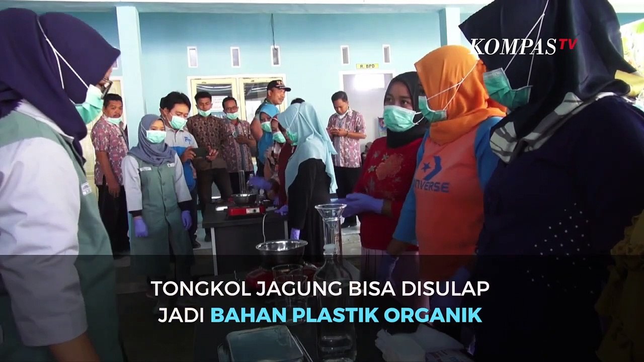 Begini Tongol Jagung diubah Jadi Plastik Ramah Lingkungan