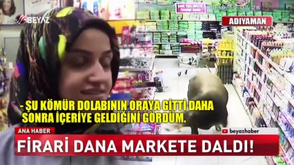 Beyaz Ana Haber 13 Ağustos 2019