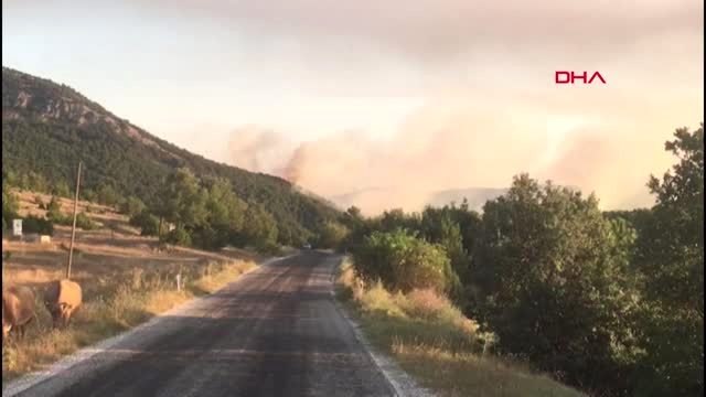 Eskişehir Seyitgazi ilçesinde orman yangını