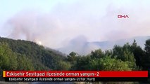 Eskişehir Seyitgazi ilçesinde orman yangını-2