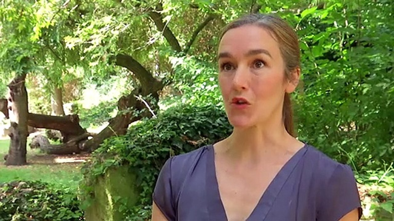 Goldsmiths University to ban beef products from campus