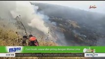 Titik Api Kembali Muncul di Gunung Sumbing, 5 Hektare Lahan Terbakar