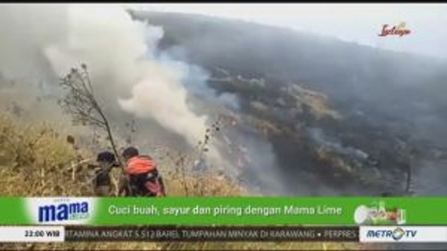 Titik Api Kembali Muncul di Gunung Sumbing, 5 Hektare Lahan Terbakar