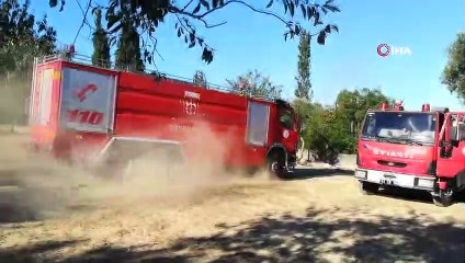 Gebze'de 3 yerde çıkan yangında 20 dönüm sit alanı zarar gördü