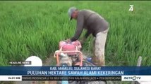Kemarau Panjang, Petani di Mamuju Gunakan Pompa Air untuk Mengairi Sawah