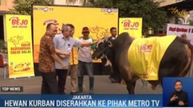 PT Bintang Toedjoe Serahkan Sapi Kurban Seberat 1 Ton ke Metro TV
