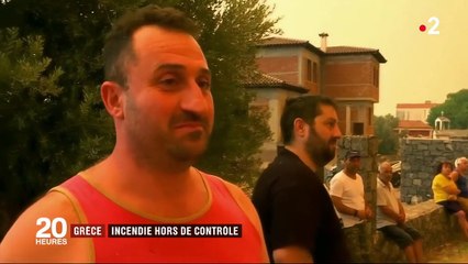 Grèce: l'île d'Eubée ravagée par un incendie