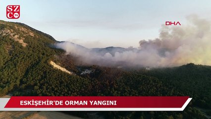 Eskişehir’de orman yangını