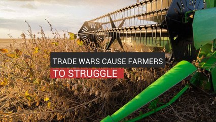Trade Wars Cause Farmers To Struggle