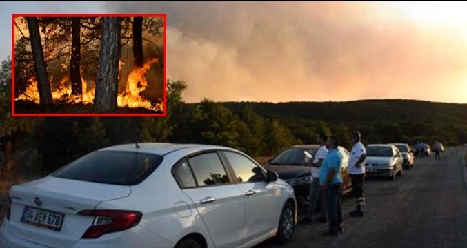 Eskişehir'deki orman yangını saatlerdir söndürülemedi! Yangını söndürme çalışmalarına gençler kürekler ile destek oluyor